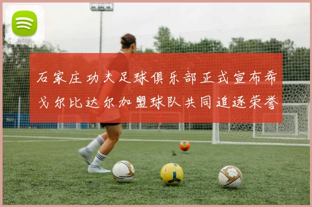 石家庄功夫足球俱乐部正式宣布希戈尔比达尔加盟球队共同追逐荣誉