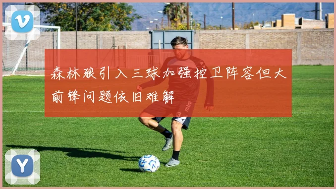 森林狼引入三球加强控卫阵容但大前锋问题依旧难解